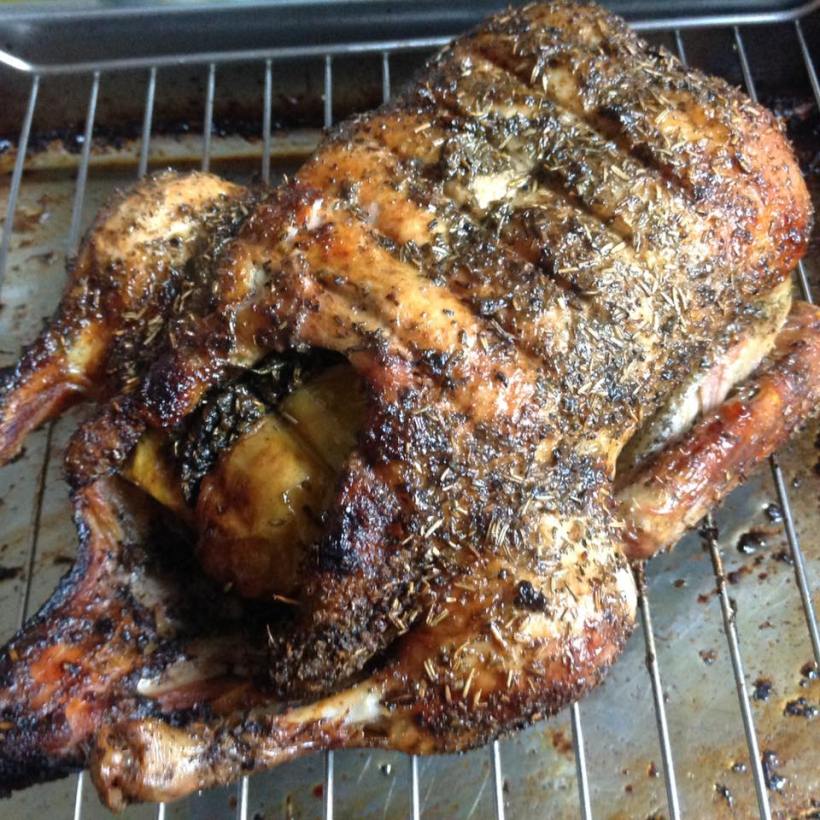 15241820_1140727536046758_5313055820743282318_n